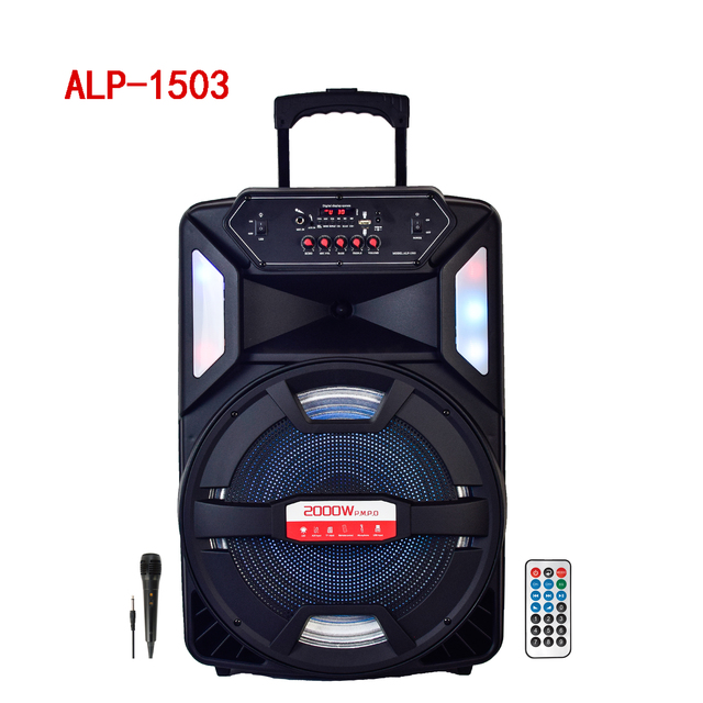 Alexa 15 Inch Sound System 1000W Echo Dot 4 Studio Kts Wireless Boombox Radio Trolley Speaker with Microphone