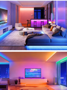 110-220V <b>RGB</b> LED Strip 5050 60LEDs/m IP65 Waterproof Outdoor Driver Free Chasing Flexible for Garden Home Decor - Product Image 5