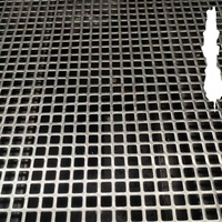 Tôle perforée à trous carrés, plaque en acier inoxydable perforée carrée pour écran décoratif