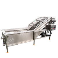 Fabrieksnieuwe apparatuur voor appelverwerking, fruitwasser, prijs