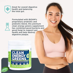 <span class=keywords><strong>Poudre</strong></span> de protéines végétaliennes de chocolat de spiruline végétale biologique de marque privée avec vert - Product Image 4
