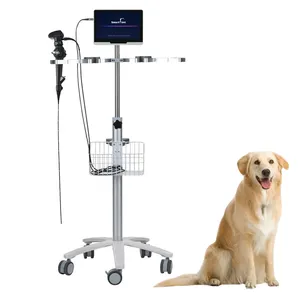 Endoscope vétérinaire flexible Smart F Vet pour petits animaux et équidés Endoscope vétérinaire des voies respiratoires supérieures et inférieures