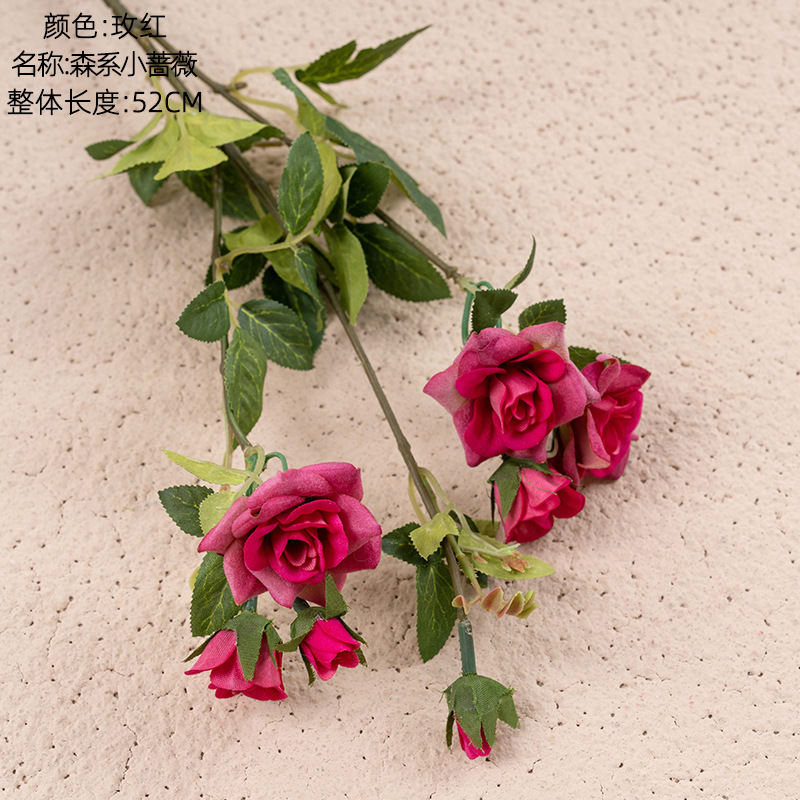 Rose rouge