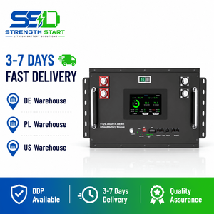 Kit DIY: Carcasa de Batería de 16 kWh con JKBMS JBD 150A 200A BMS, Caja de Iones de Litio con Pantalla, 280Ah 314Ah 8S 16S, Carcasa Vacía para Baterías LiFePO4 - Product Image 1