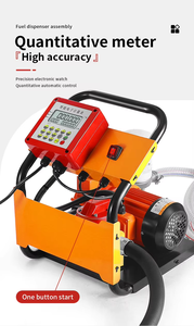 Salida de fábrica 12V/24V Juego de bomba de combustible de metal portátil Bomba de aceite diésel/gasolina autocebante Paquete de flujo cuantitativo Aguas residuales - Product Image 5