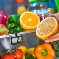 Vente d'usine : Grand thermomètre numérique LCD pour réfrigérateur et congélateur avec fixation magnétique