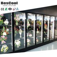 BesCool, nuevo panel de 150mm, congelador, cámara frigorífica, exhibición de almacenamiento, tienda de floristería minorista, uso doméstico, hoteles, tiendas de alimentos, granjas