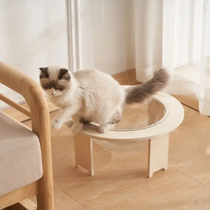 Cama para Gatos Transparente de Acrílico con Forma de Nave Espacial, Tipo Cápsula Espacial, para las Cuatro Estaciones, Venta al por Mayor - Product Image 4