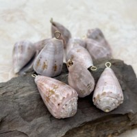 Coquillages coniques hébraïques naturels Conus Ebraeus, pendentif en acier inoxydable, breloques pour bijoux DIY, boucles d'oreilles Hawaï