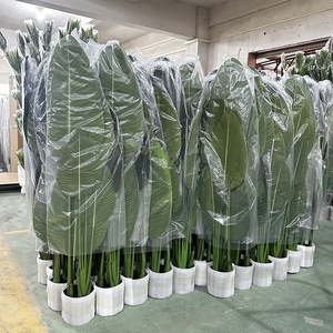 Guangdong Simulated Decorative Artificial Ornamental Traveler Banana Tree <strong>Plastic</strong> <strong>Plants</strong> for Home Hotel - Product Image 1