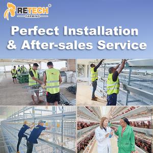 Kandang ayam Broiler, peralatan unggas kandang Broiler 4 tingkat otomatis dengan sistem panen tipe rantai - Product Image 2