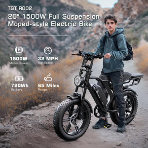 USA/EU-Lager Schneller Versand Original E-Bike Fatbike mit Breitreifen 750W Elektrofahrrad E-Rennrad für Erwachsene - Product Image 3