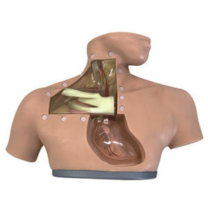 Manekin pengajaran medis canggih untuk Model anatomi perawatan nutrisi Parenteral untuk latihan injeksi dalam simulasi perawatan - Product Image 4