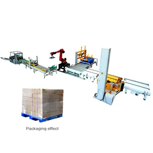 Automatic End of line Palletizing wrapping packing solutions for case and pallet