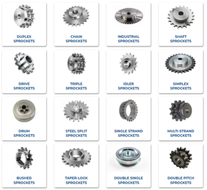 Cadena de rodillos dúplex de precisión de paso corto de acero inoxidable de la serie B, cadena y piñones para industrias de restaurantes - Product Image 6