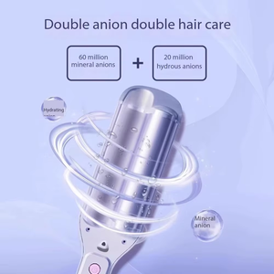 Nuevo rodillo de hierro de <span class=keywords><strong>pelo</strong></span> de silicona de salón de seda Vogue portátil personalizado ondas de viaje térmicas vivas rizador eléctrico - Product Image 2