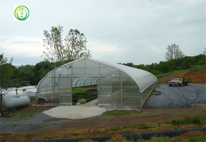 Agricultura Comercial Personalizado Gran Invernadero Estándar Marco de acero galvanizado en caliente Cúpula arqueada Túnel Invernadero Plástico PE - Product Image 4