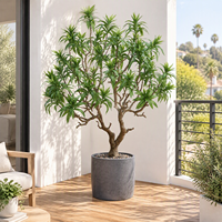 Plante artificielle Dracaena Reflexa pour sol - Grande plante en pot résistante aux UV pour la décoration de l'aménagement paysager des halls d'hôtels et d'hôtesseries