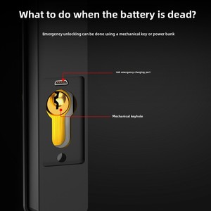 Porte intelligente en aluminium à pont thermique GLGW avec empreinte digitale, étanche, étroite, pour extérieur, avec application, mot de passe électronique, installation facile <span class=keywords><strong>SPA</strong></span> - Product Image 6