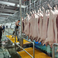 Almacén Refrigerado Industrial para Carne, Almacenamiento a Largo Plazo de Carne Congelada, Tamaño Personalizado, Motor Automático, Energía Solar
