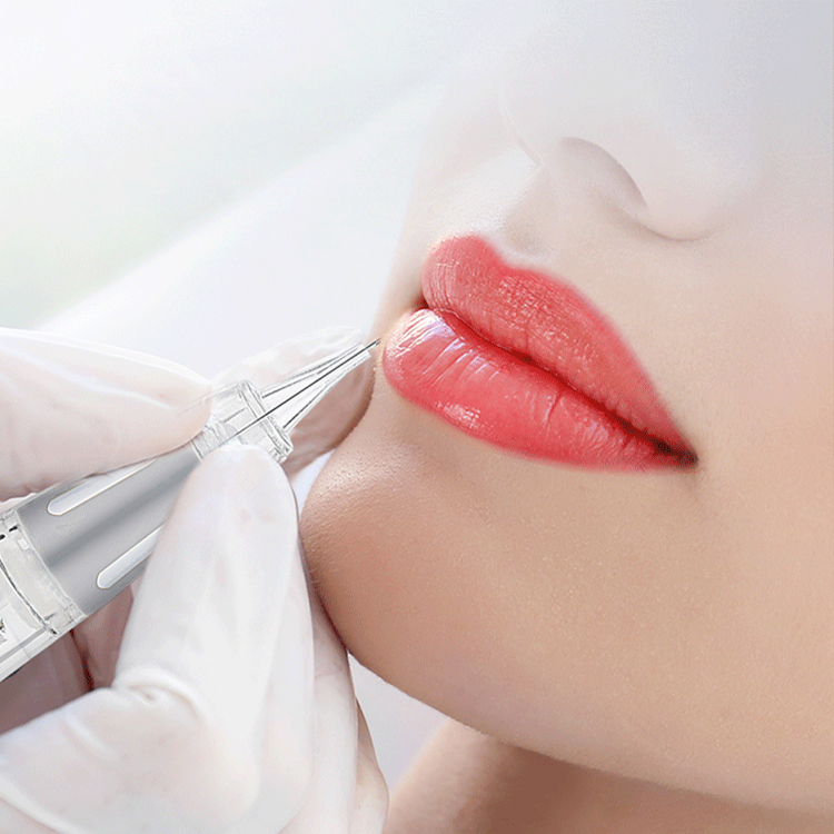 NUOJO Personalized High-end Customizing Eyebrow Lips Makeup Device PMU&MTS Complete Digital Machine