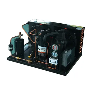 Copeland Compressor Condensing Unit for Cold Room Air cooled Refrigeration Heat Exchanger