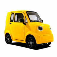 Yunlong Q5 Mini Auto Eléctrico de Baja Velocidad, Vehículo Eléctrico Homologado EEC L6e para Pasajeros Sin Licencia de Conducir