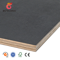 BUYLONG Contreplaqué Eucalyptus Imperméable Antidérapant 1220x2440mm 9mm-18mm E1 Sans Formaldéhyde Écologique pour Salon Chambre Scène