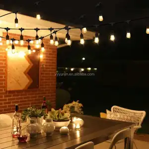 Warm Wit 15 Doorzichtige Vintage Lampen 48ft Decoratieve Verlichting Globe Party Kerst String Licht Voor Buiten Achtertuin Slinger Patio