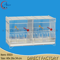Vente en gros de cages à oiseaux miniatures écologiques en fer avec plateau en plastique, emballage en boîte, design multi-compartiments avec façade en verre pour les oiseaux amoureux et les canaris