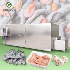 เครื่องแช่แข็งแบบเร็วสำหรับผลไม้ รุ่น Deep Professional Square Setting Iqf สำหรับอาหารแช่แข็ง เช่น สตรอว์เบอร์รีและไก่ - Product Image 1