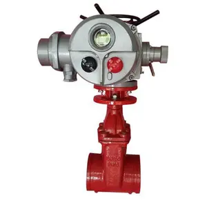 Nuzhuo Customized OEM Flange Electric Gate Valve On Off Type Multi Turn Motorized Actuator Gate Valve