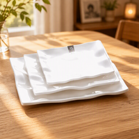Ensemble d'assiettes à dîner blanches incassables, 8 pouces, style européen, d'extérieur, de bonne qualité