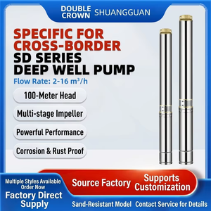 Pompe submersible pour puits profond SDM Series 2m³/h 220V 50/60Hz en acier inoxydable, haute pression, haut débit, pour l'irrigation agricole - Product Image 2