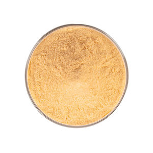 مسحوق عصير المانجو الأفريقي الطازج المجفف بالتجميد 10:1، مستخلص فاكهة عضوي بنكهة البذور، معتمد حلال/كوشر، تعبئة في براميل، مباشرة من المصنع - Product Image 3