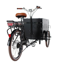 Bicicleta de carga holandesa con caja familiar, bicicleta de carga eléctrica de 3 ruedas a la venta