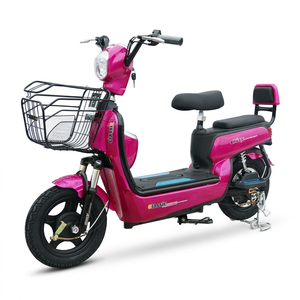 Vélo JY à 2 roues personnalisé pour adultes avec moteur 450W 500W - Product Image 1