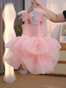 Produttore gonna per bambine gonna Top gonna per bambine <span class=keywords><strong>vestito</strong></span> <span class=keywords><strong>da</strong></span> <span class=keywords><strong>principessa</strong></span> rosa per bambini in Stock - Product Image 2