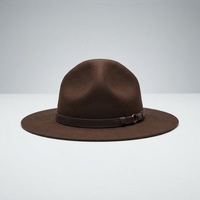 Chapeaux en laine à large bord NL201 Marron Camel, design exquis, populaires pour les activités de plein air et les tenues décontractées