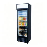 Réfrigérateur commercial économique pour boissons, vitrine congélateur à porte vitrée, refroidissement par air, contrôle LED, verrouillage de porte, sans givre, réglable