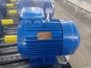 มอเตอร์ไฟฟ้าเหนี่ยวนำสามเฟส 7.5 กิโลวัตต์ 10 แรงม้า 1460 รอบต่อนาที Y2-132M-4 1500 รอบต่อนาที 4 โพล มอเตอร์ไฟฟ้ากระแสสลับสามเฟสแบบอะซิงโครนัส - Product Image 2