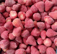 2026 Nieuwe Oogst IQF Diepvries Gehele Aardbeien Stabiele Jaarlijkse Aanvoer Bulk 10kg Karton Groothandel Import