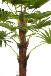 Plan artificial de plástico, tecnología uxury Pace ecor - Product Image 4