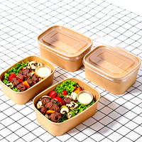 Lot de 300 bols à salade jetables en papier kraft par carton, biodégradables, écologiques, boîtes alimentaires à emporter avec couvercle