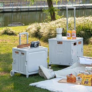 Chariots de stockage du marché Portable pliable pliant Camping épicerie <span class=keywords><strong>escalier</strong></span> escalade 8 roues chariot chariot - Product Image 6