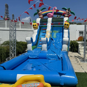 Tobogán acuático inflable comercial Flamingo Toboganes De Agua Tobogán inflable de piña de alta calidad con <span class=keywords><strong>piscina</strong></span> grande - Product Image 3