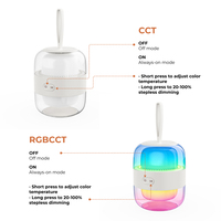 Lampe de nuit LED portable en forme de capsule, rechargeable par USB, sans fil, petite lampe de table à intensité variable, protection des yeux, flexible pour chevet