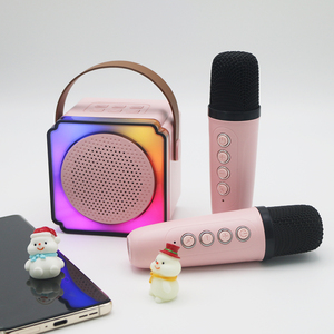 Caraok coreano Ibastek Karaoke altavoz Tv pantalla Set Reverb máquina fiesta reproductor Radio con pantalla táctil - Product Image 2