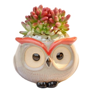 Vaso <span class=keywords><strong>per</strong></span> Piante Succulente in Ceramica Lucida a Forma di Gufo, Creativo e Decorativo <span class=keywords><strong>per</strong></span> <span class=keywords><strong>Balconi</strong></span> <span class=keywords><strong>Esterni</strong></span> - Product Image 6