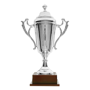 Yiwu Collection métal <span class=keywords><strong>coupe</strong></span> <span class=keywords><strong>d</strong></span>'<span class=keywords><strong>afrique</strong></span> trophée médaille de football en argent argent trophée en métal personnalisé trophée de la ligue - Product Image 1